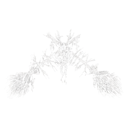 PERCHTA